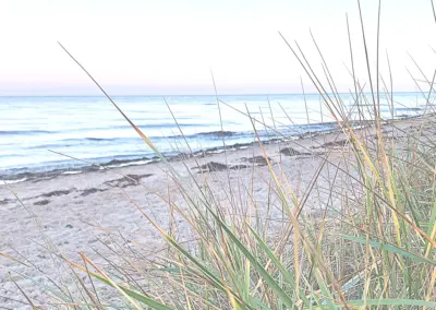 Morgenstimmung am Strand der Wohlenberger Wiek