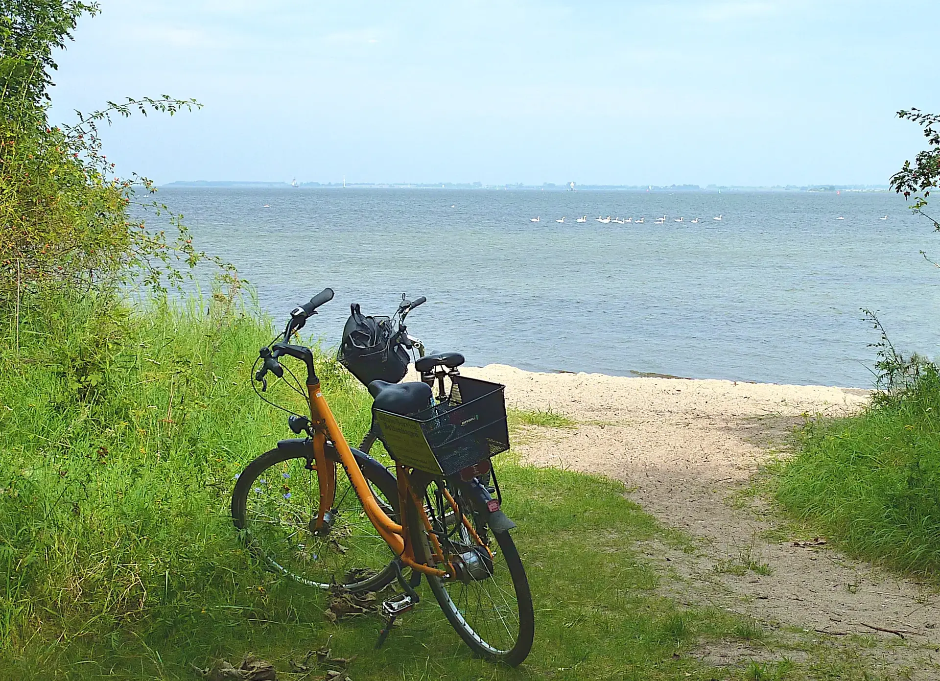 Fahrradverleih auf dem Campingplatz Liebeslaube