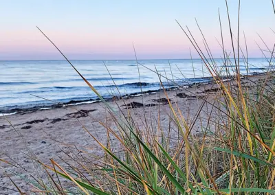 Blick auf den Strand der Wohlenberger Wiek