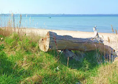 Naturstrand der Wohlenberger Wiek