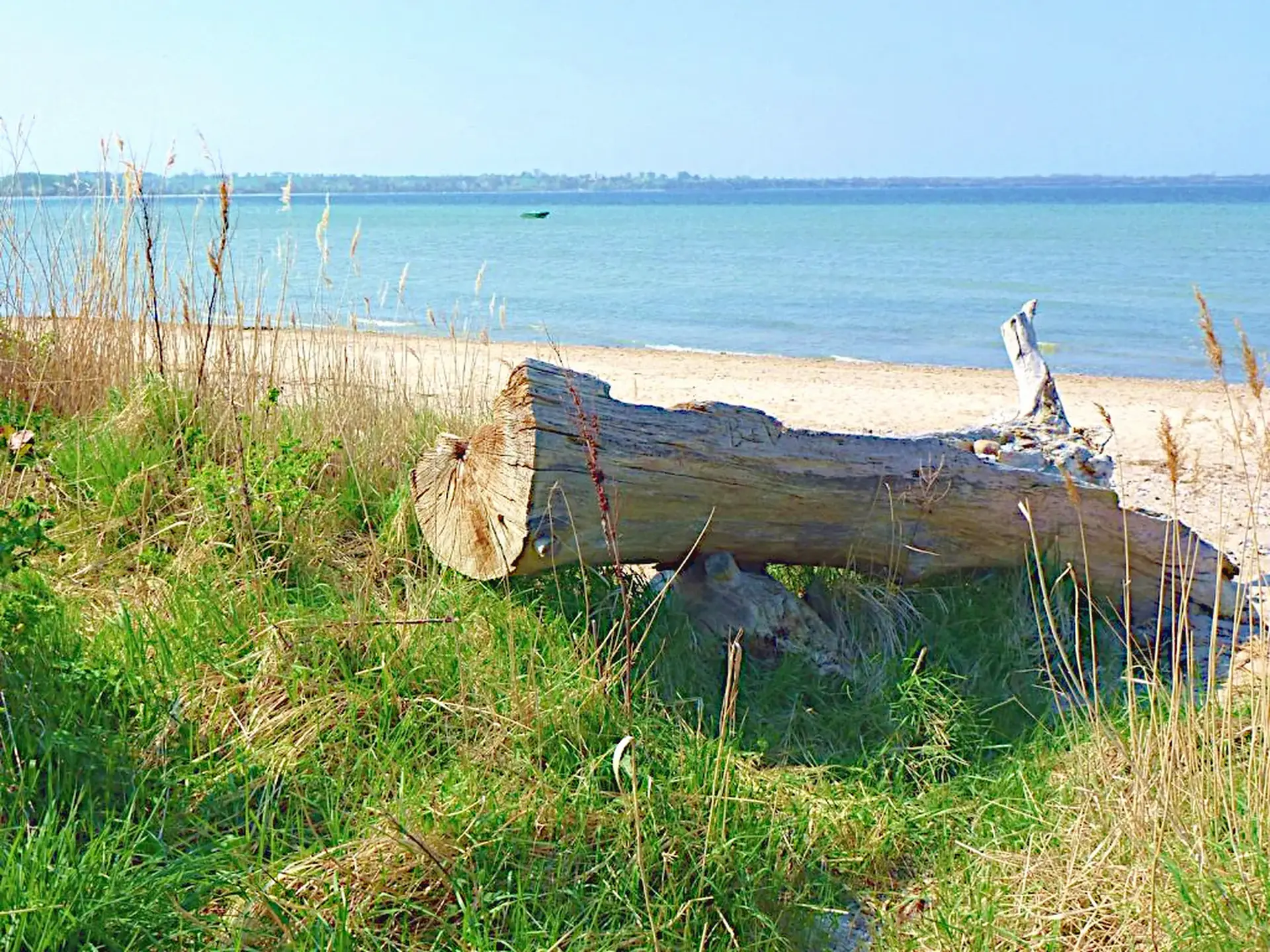 Naturstrand der Wohlenberger Wiek