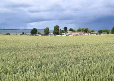 Campingplatz mit Feld im Hintergrund