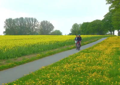 Radfahren an der Ostseeküste