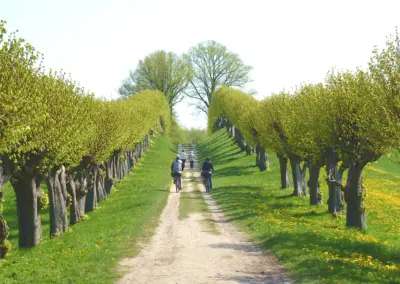 Radweg zum Schloss Bothmer in Klütz