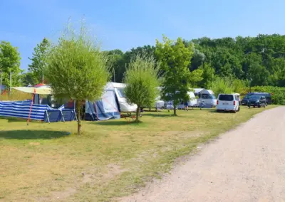 Stellplatzbereich E auf dem Campingplatz Liebeslaube