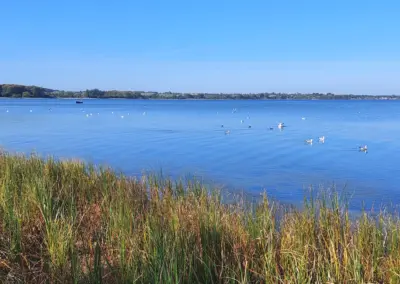 Strand Richtung Hohen Wieschendorf am Vogelschutzgebiet