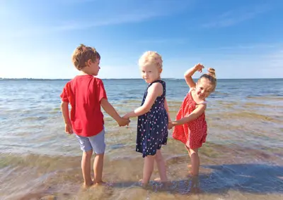 Naturstrand mit Muscheln und Steinen