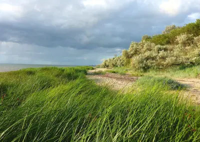 Strandweg Richtung Hohen Wieschendorf