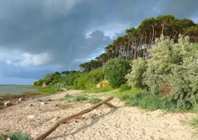 Spaziergang auf dem Strandweg Richtung Hohen Wieschendorf