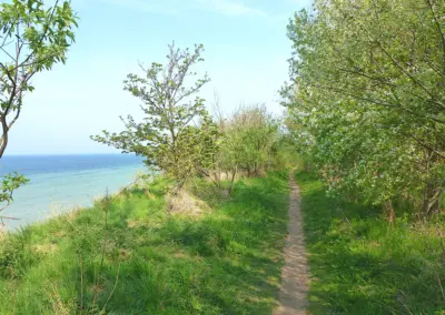 Strandweg Richtung Hohen Wieschendorf an der Küste