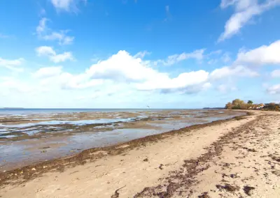 Weg zum Wasser am Naturstrand