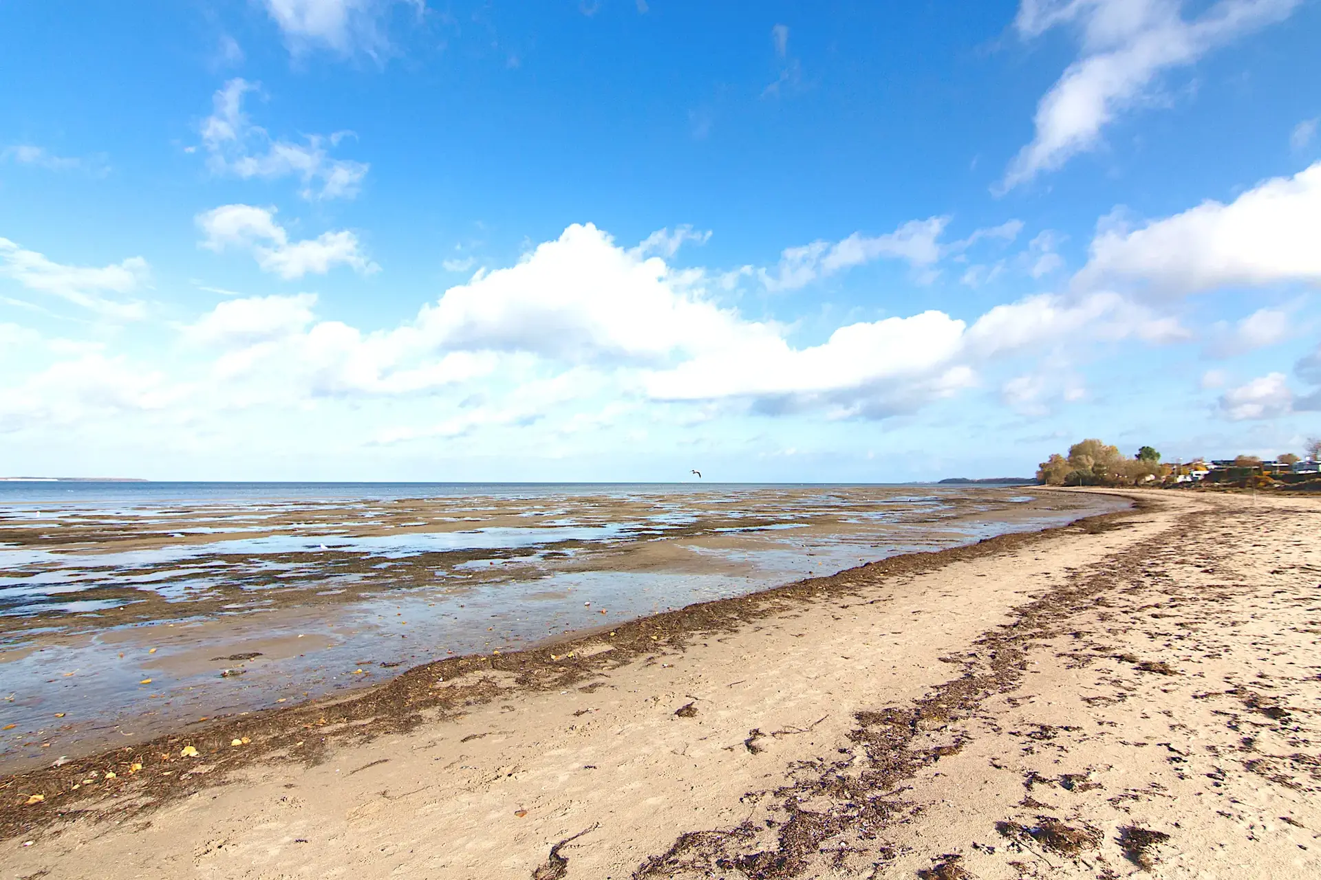 Weg zum Wasser am Naturstrand
