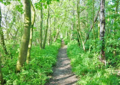 Weg entlang der Steilküste